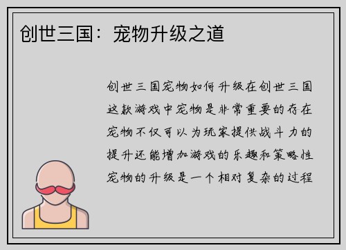 创世三国：宠物升级之道
